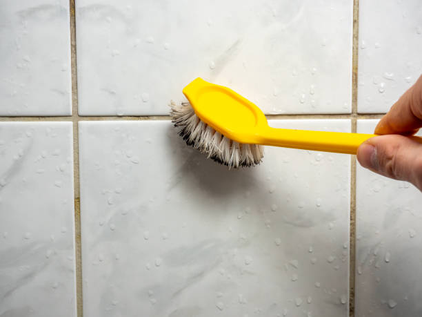 Certified Mold Removal in Santa Anna, TX