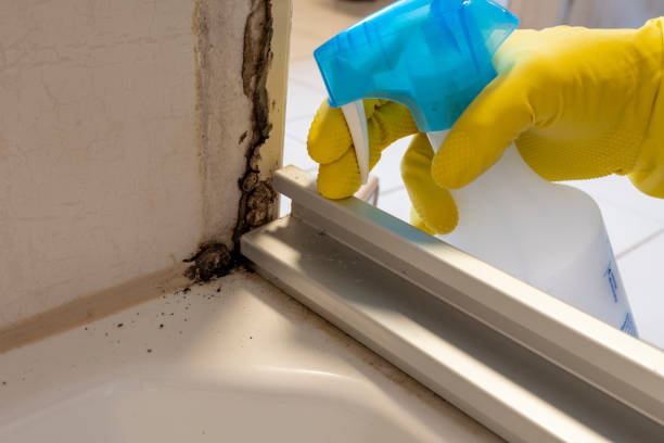 Best Mold Cleaning Services  in Santa Anna, TX