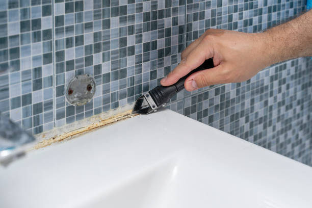 Best Best Mold Removal Companies  in Santa Anna, TX